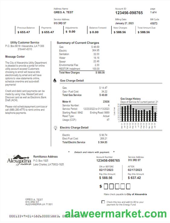 USA ALEXANDRIA utility bill Word and PDF template